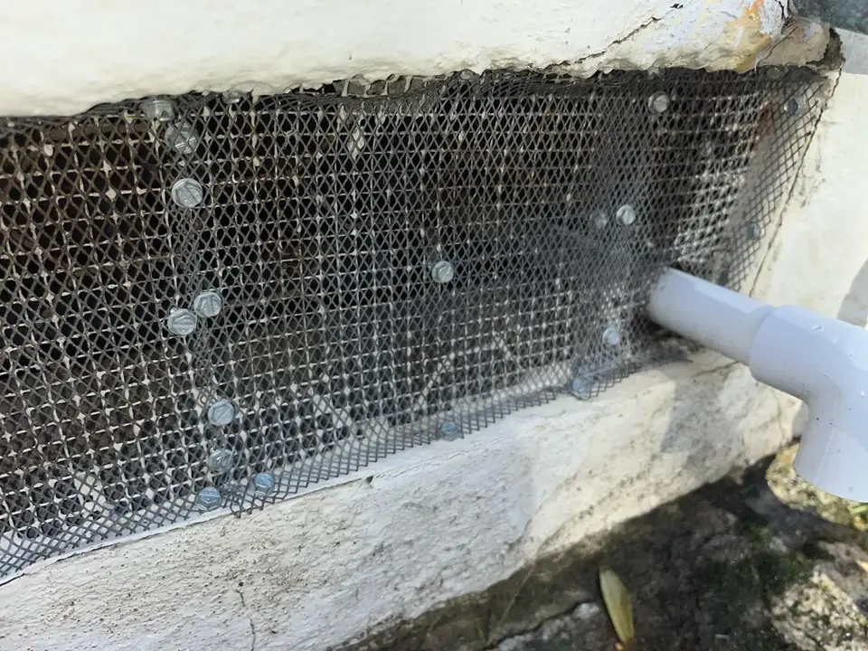Foundation vent covered with galvanized steel mesh, with putty around a pipe