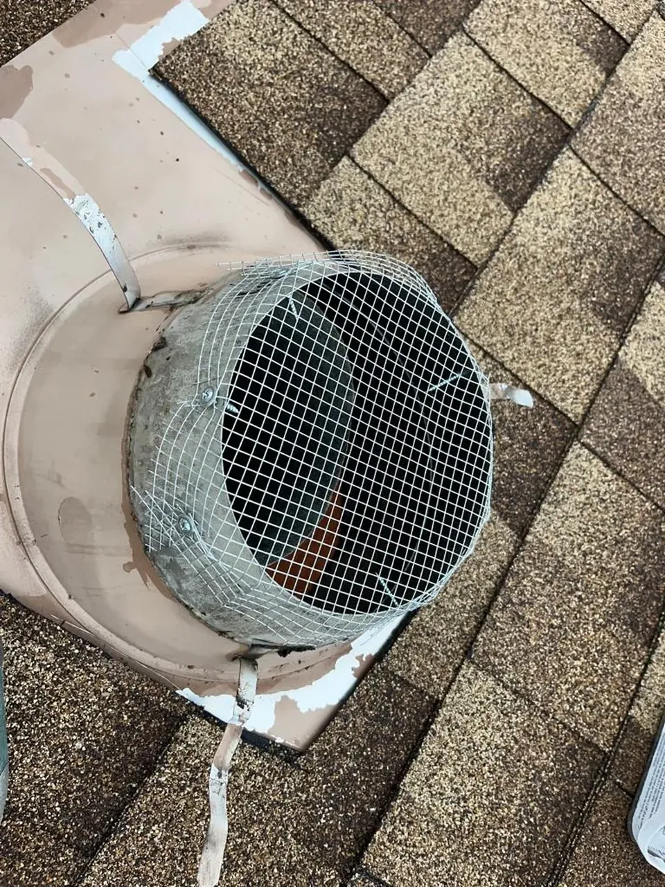 Roof vent pipe opening screened with galvanized steel mesh